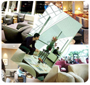 Top 5 Airport Lounges in the World